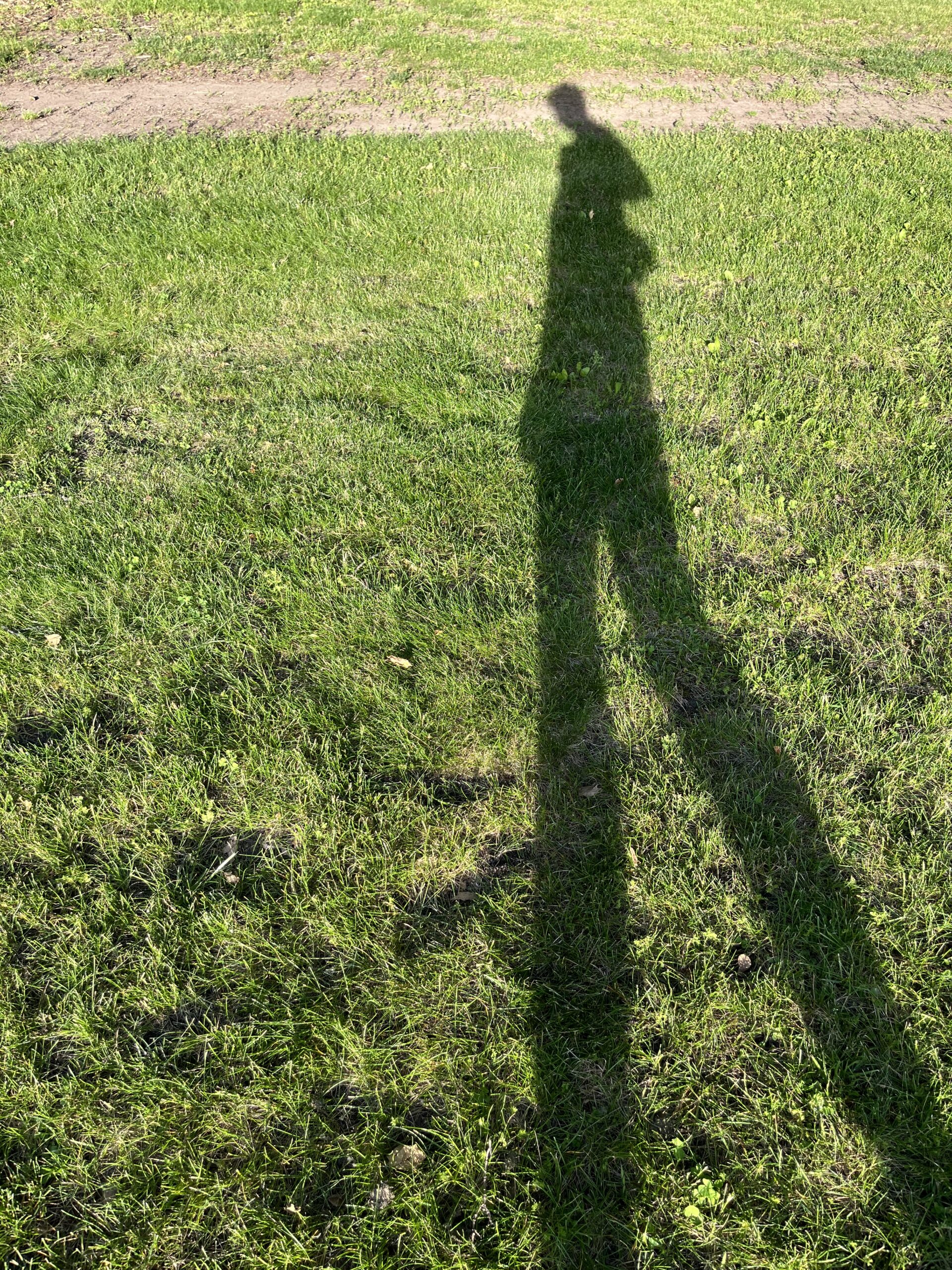 Academic reflection photo 2